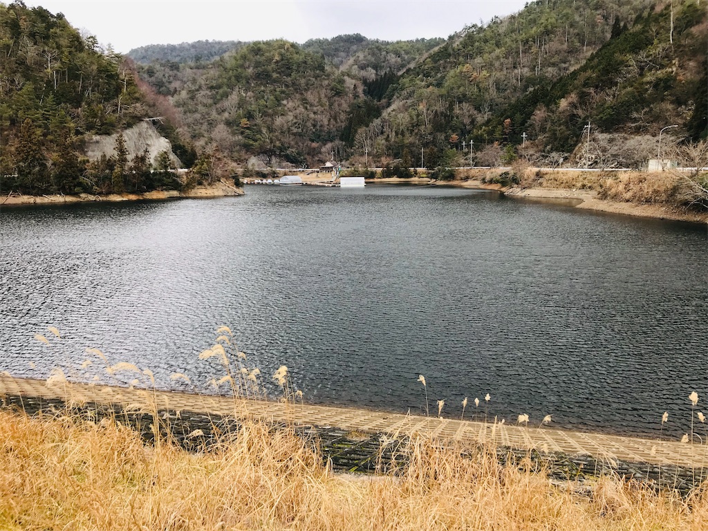 f:id:hashimo123:20190117170116j:image