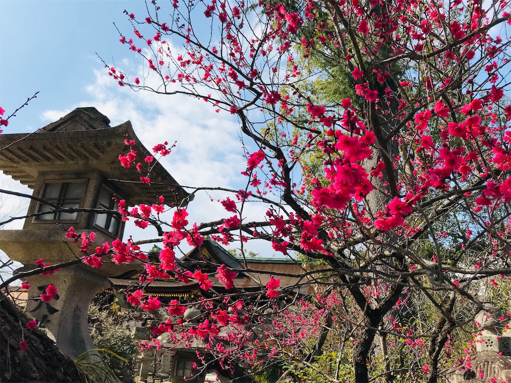 f:id:hashimo123:20190223094626j:image