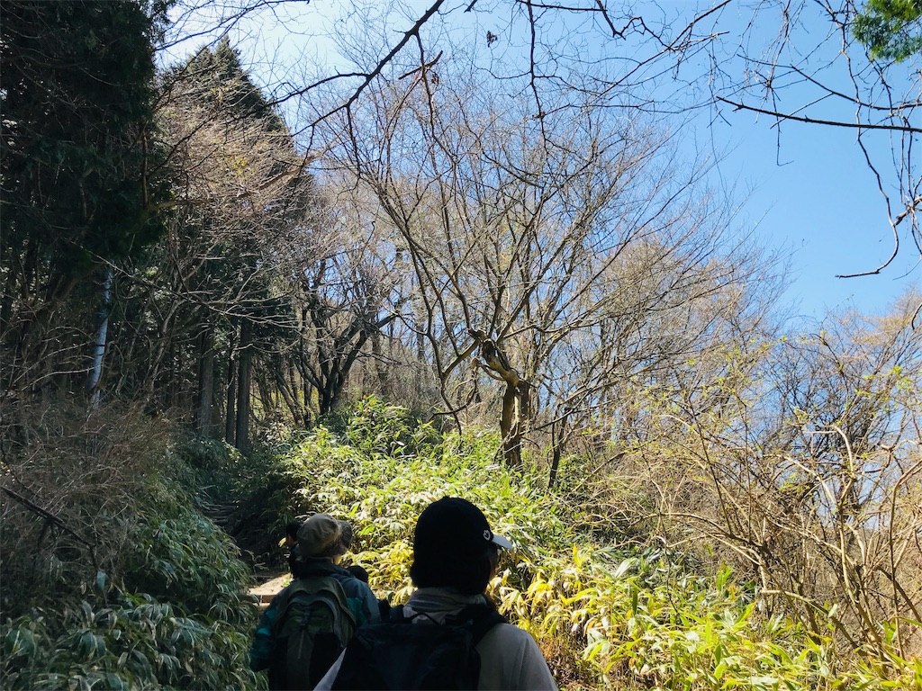 f:id:hashimo123:20190421094016j:image