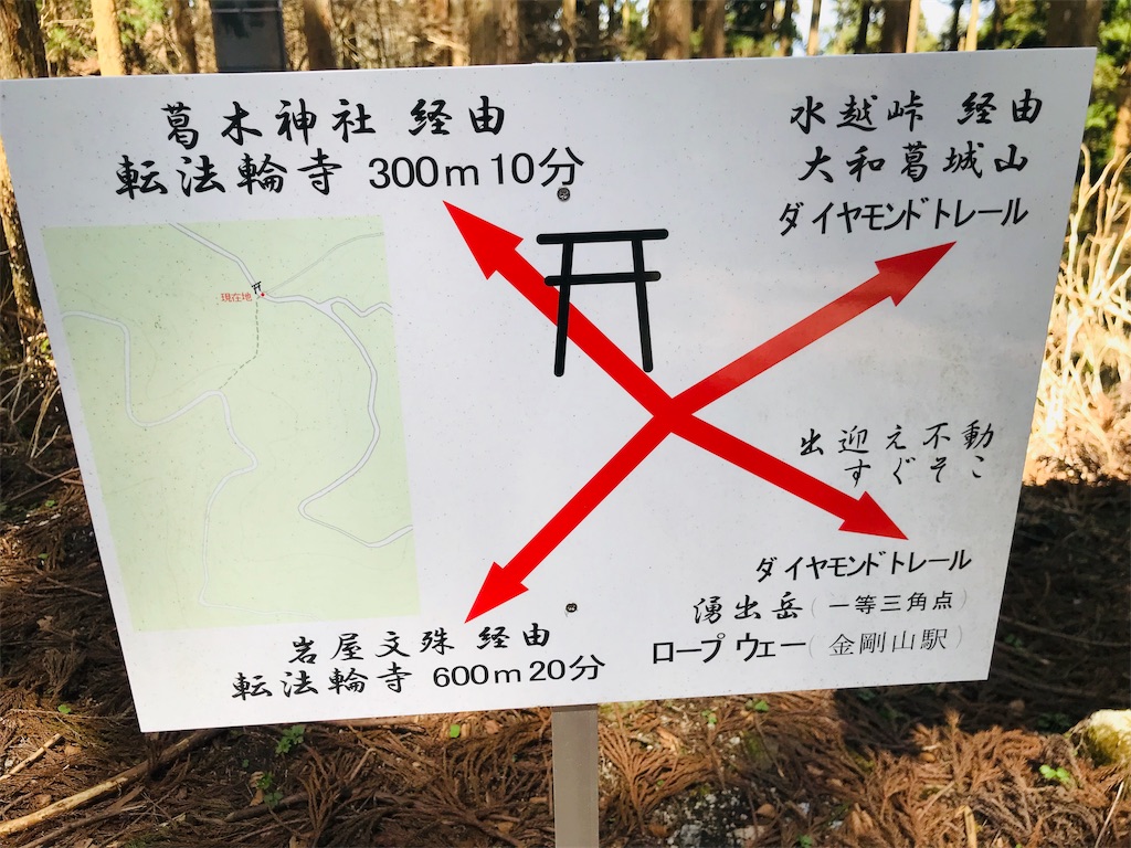 f:id:hashimo123:20190421094052j:image