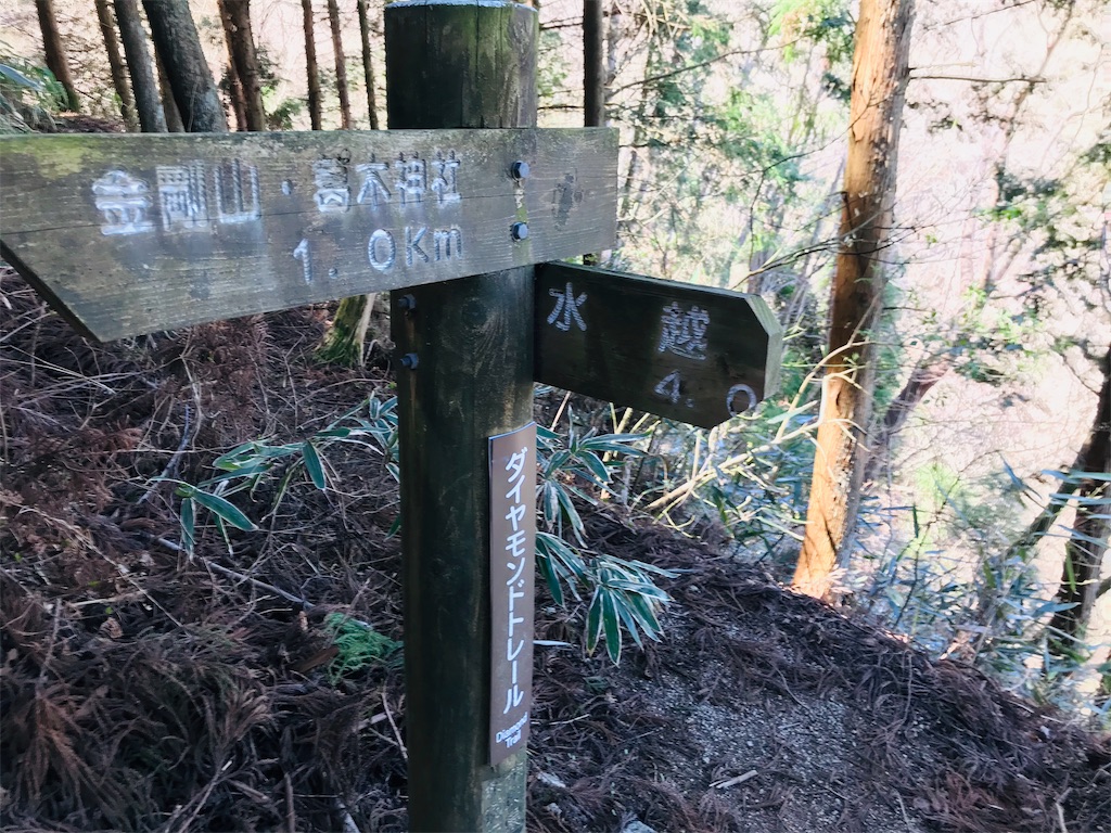 f:id:hashimo123:20190421094103j:image