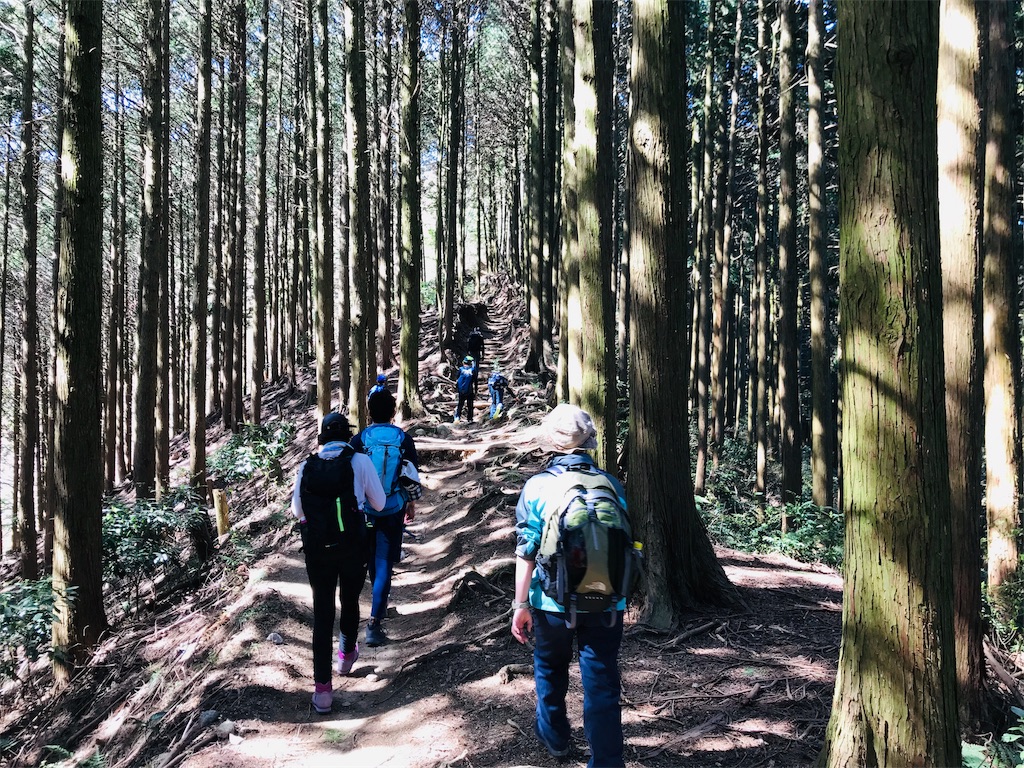 f:id:hashimo123:20190421094147j:image