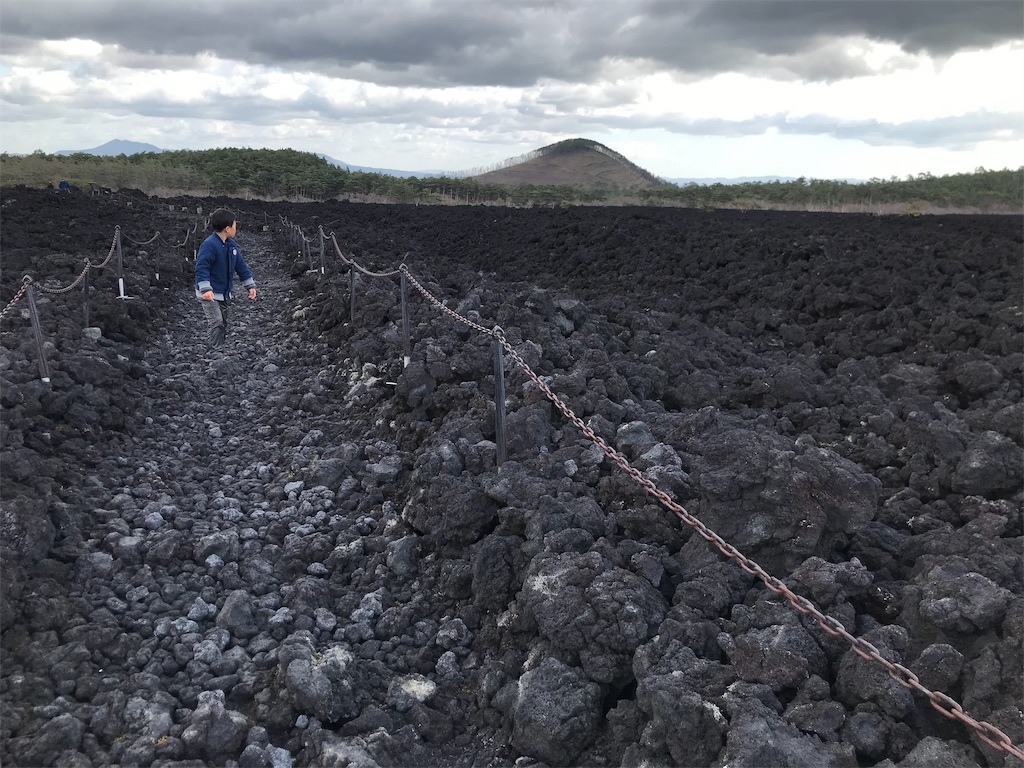 f:id:hashimo123:20190512092739j:image