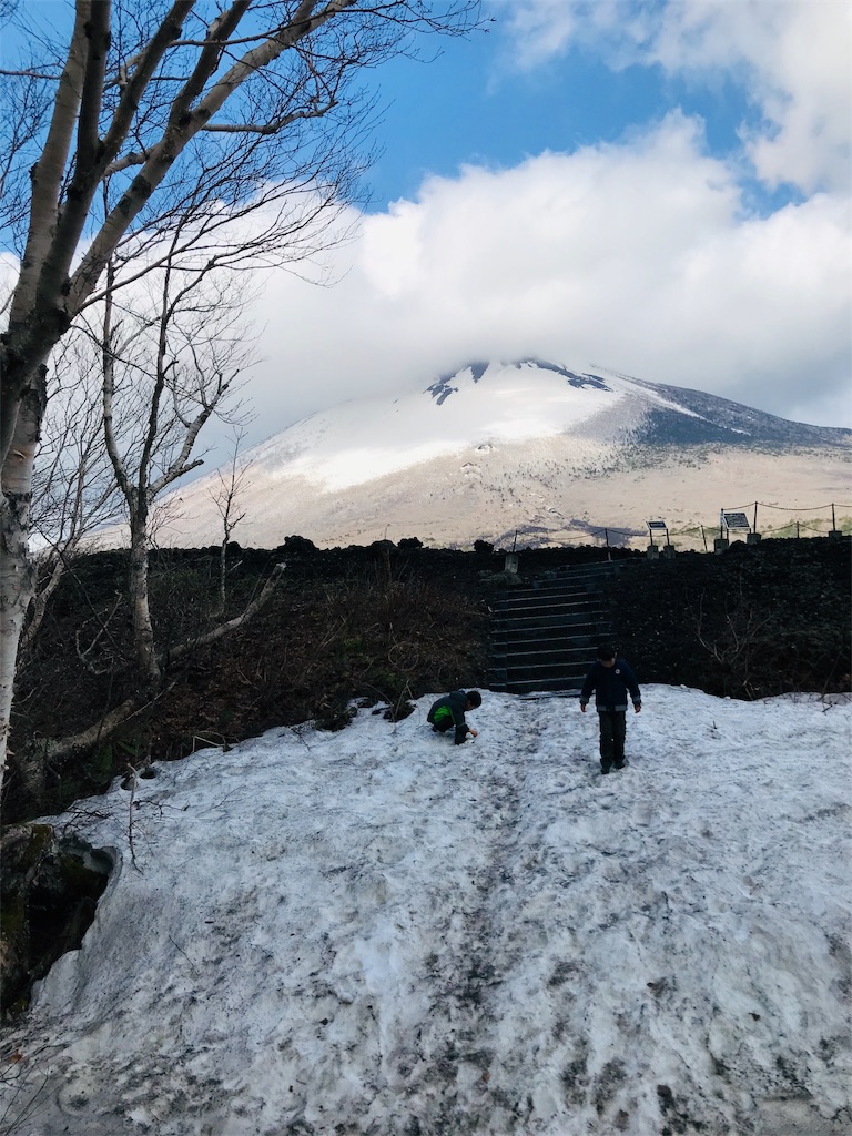 f:id:hashimo123:20190512092743j:image