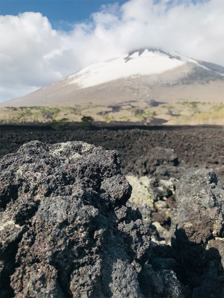 f:id:hashimo123:20190512092747j:image