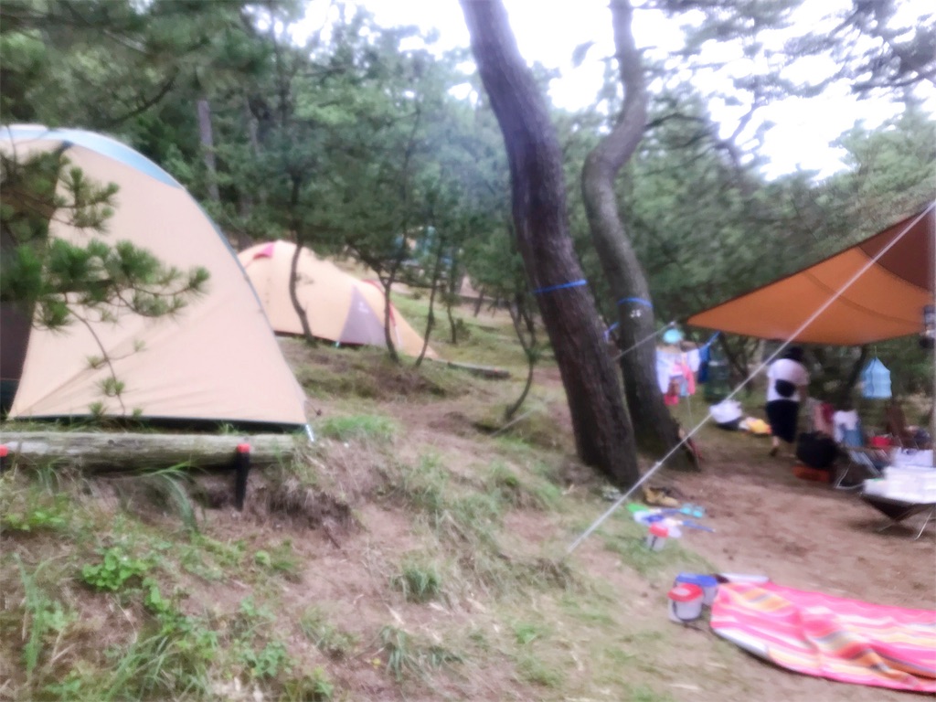 f:id:hashimo123:20190715155029j:image