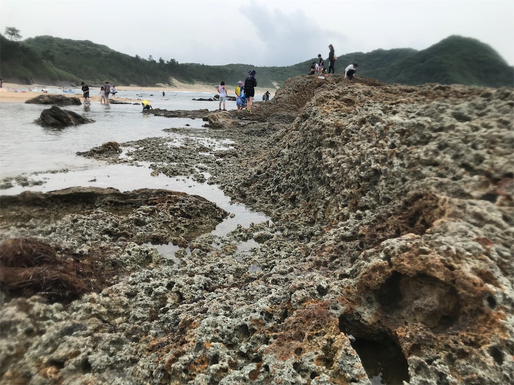 f:id:hashimo123:20190715155253j:image