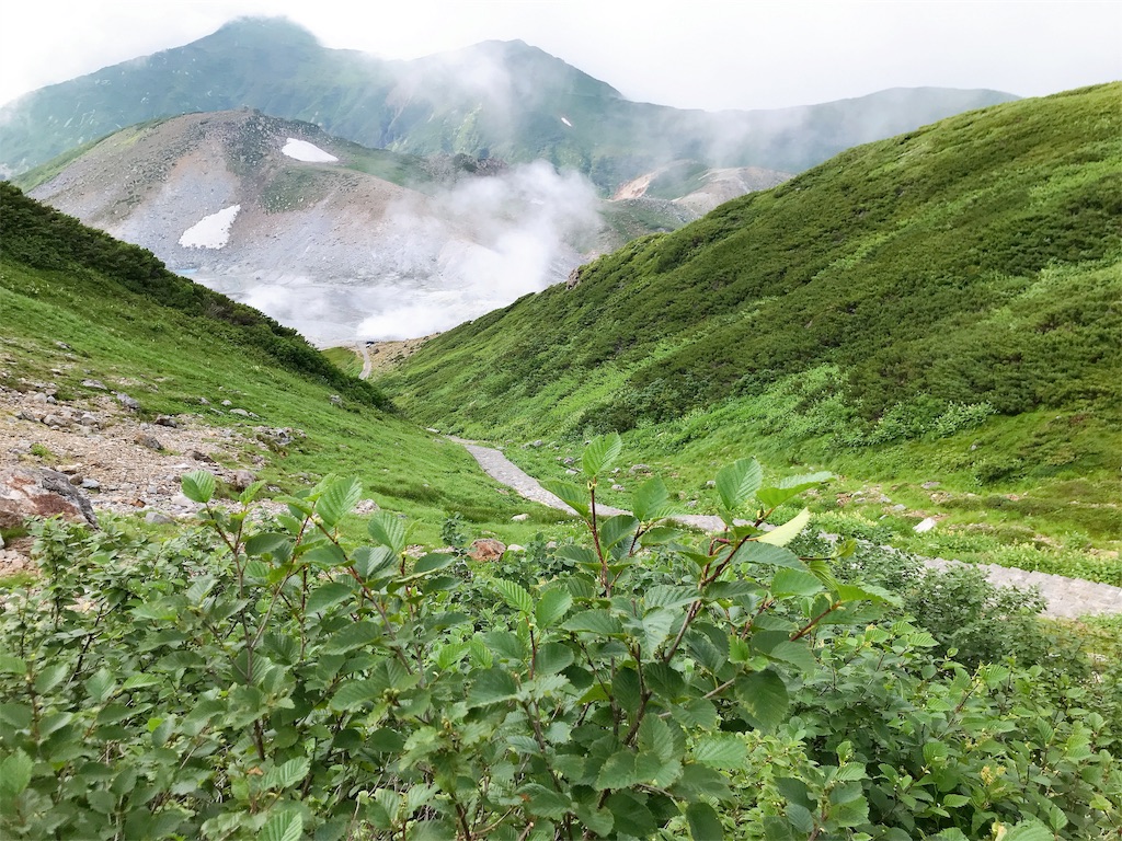 f:id:hashimo123:20190811151059j:image