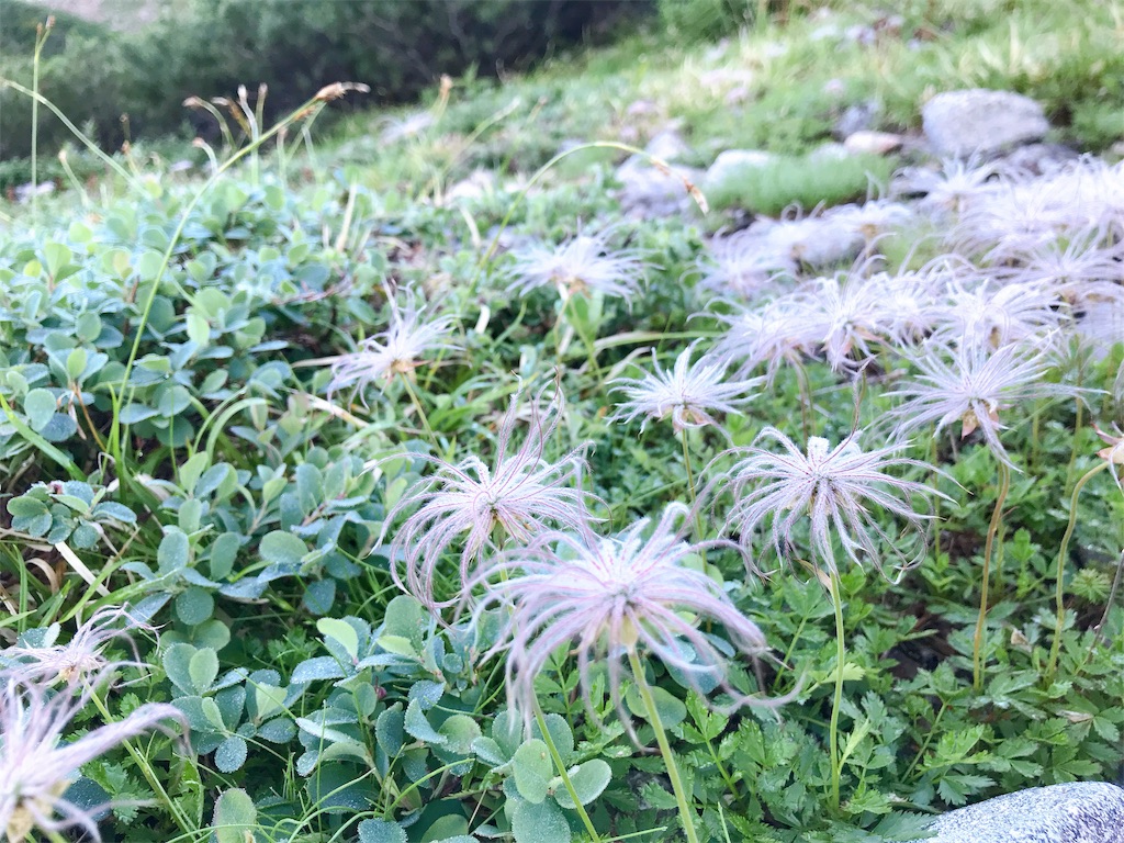 f:id:hashimo123:20190814081736j:image f:id:hashimo123:20190814081736j:image