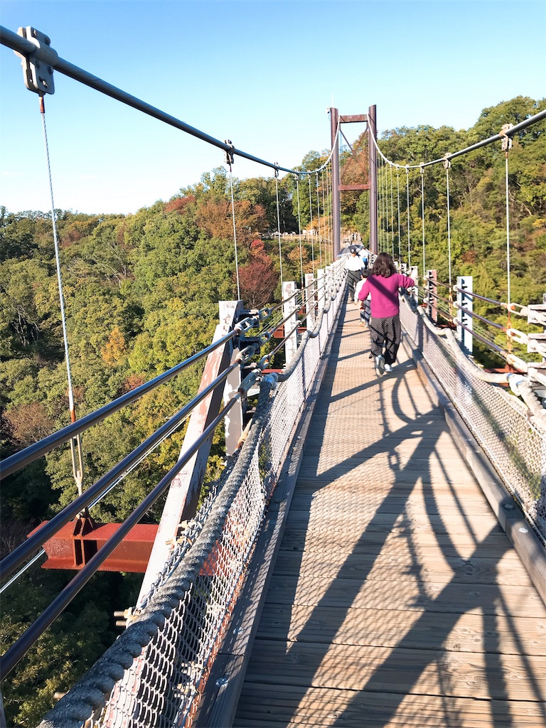 f:id:hashimo123:20191109181301j:image f:id:hashimo123:20191109181301j:image