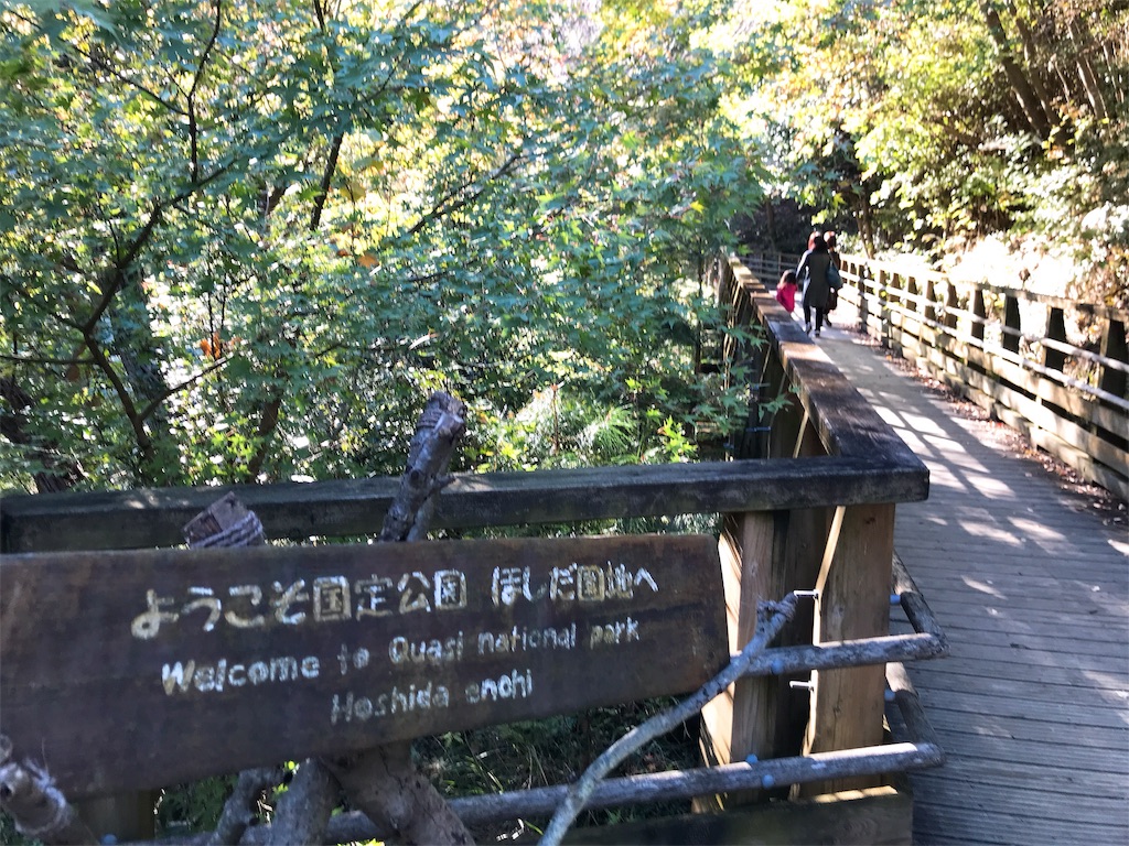 f:id:hashimo123:20191109181304j:image f:id:hashimo123:20191109181304j:image