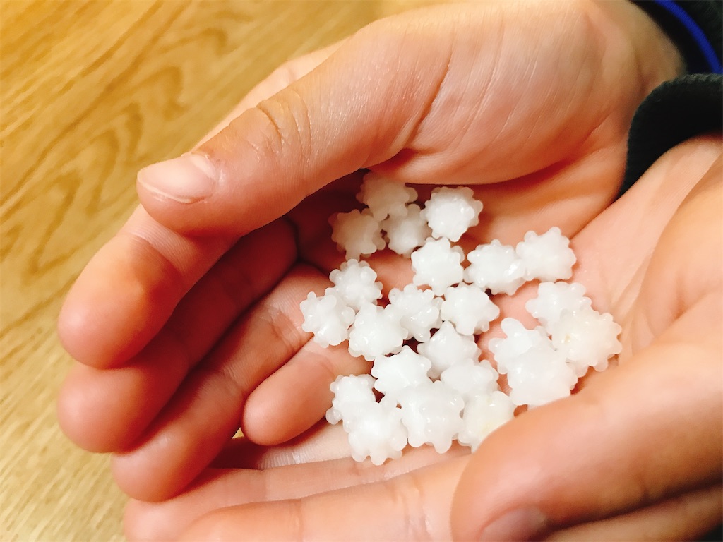 f:id:hashimo123:20200224161721j:image