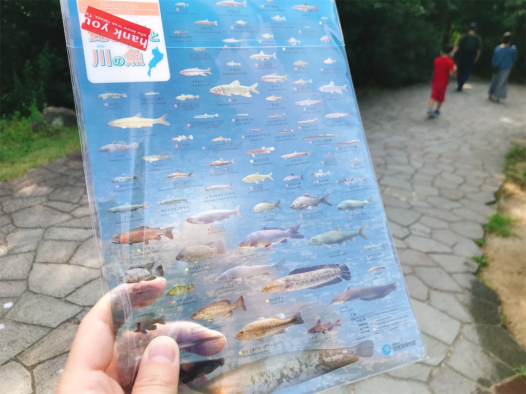 f:id:hashimo123:20200802214347j:image