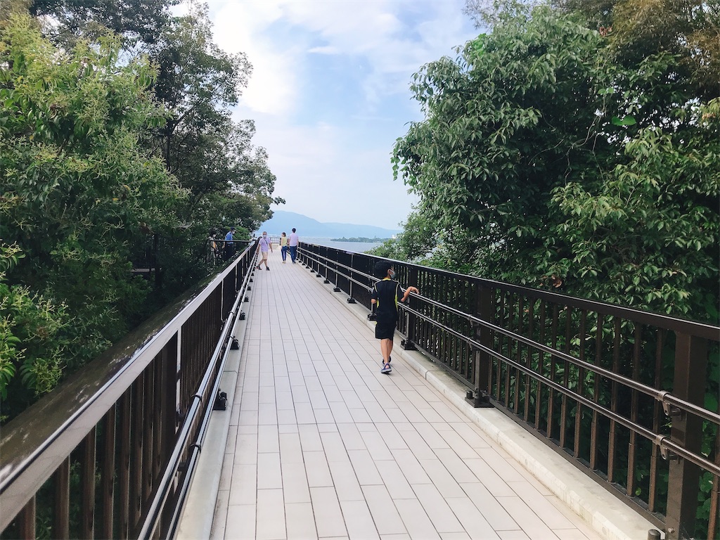 f:id:hashimo123:20200802214402j:image