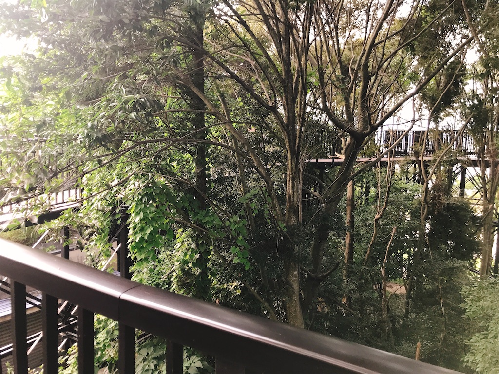 f:id:hashimo123:20200802214452j:image