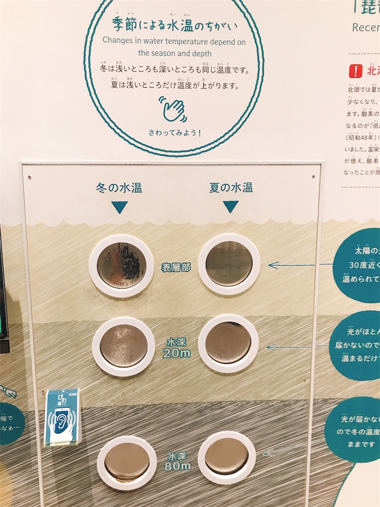 f:id:hashimo123:20200804214217j:image