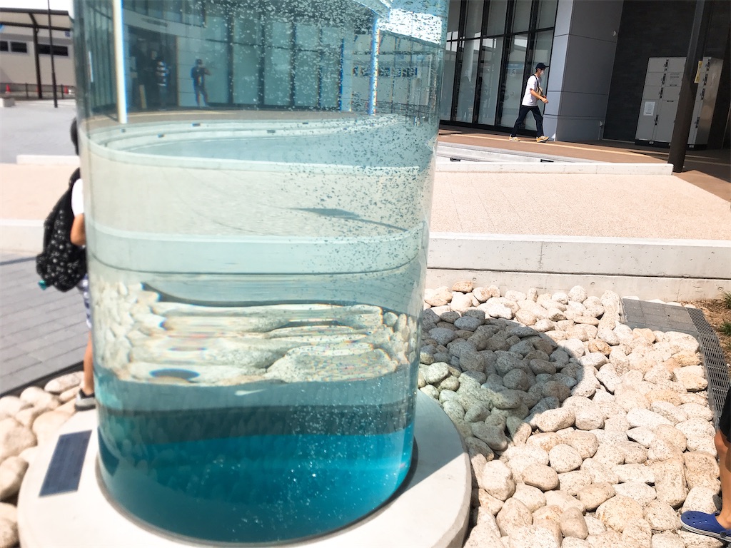 f:id:hashimo123:20200824204611j:image f:id:hashimo123:20200824204611j:image