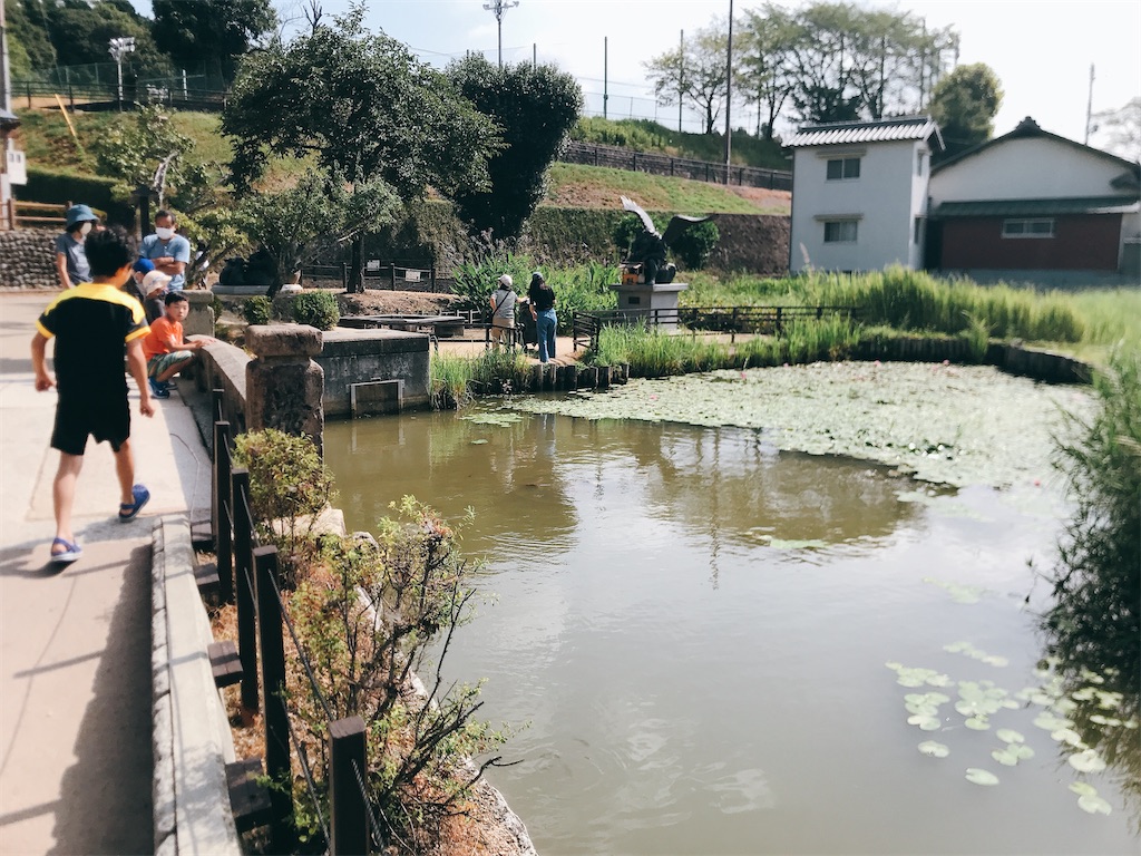 f:id:hashimo123:20200829094529j:image f:id:hashimo123:20200829094529j:image