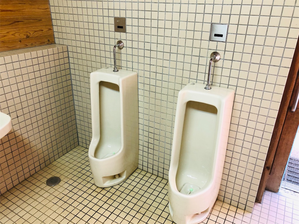 f:id:hashimo123:20201101174135j:image f:id:hashimo123:20201101174135j:image