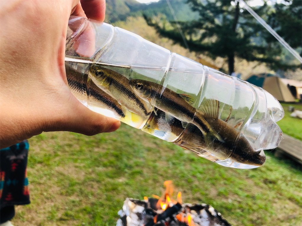 f:id:hashimo123:20201101174204j:image f:id:hashimo123:20201101174204j:image