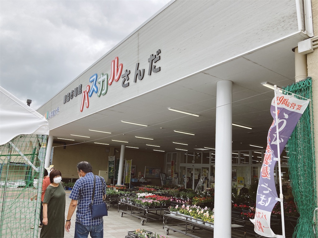 f:id:hashimo123:20210703165701j:image f:id:hashimo123:20210703165701j:image