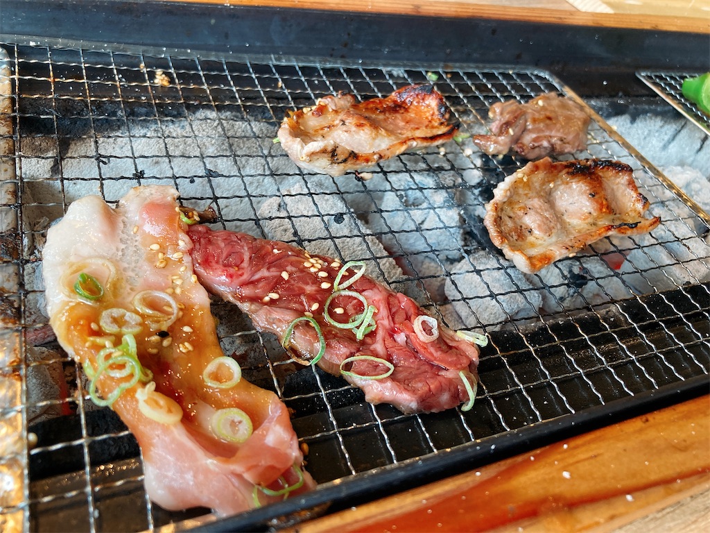 f:id:hashimo123:20210820150822j:image
