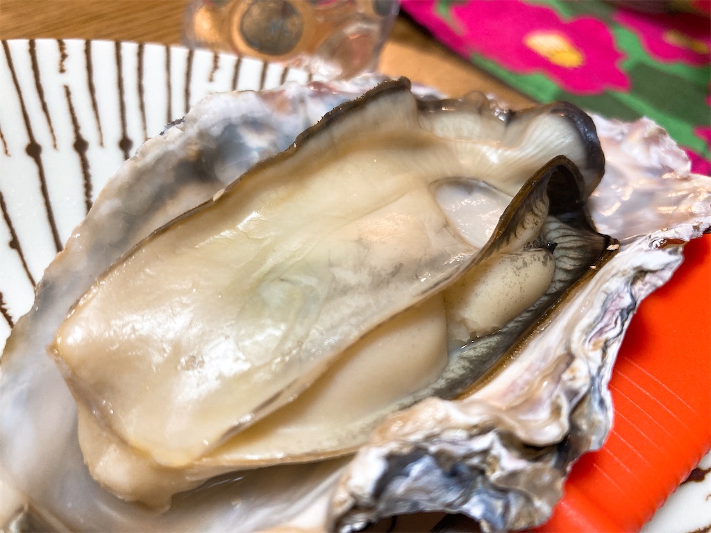 f:id:hashimo123:20220220115406j:image f:id:hashimo123:20220220115406j:image