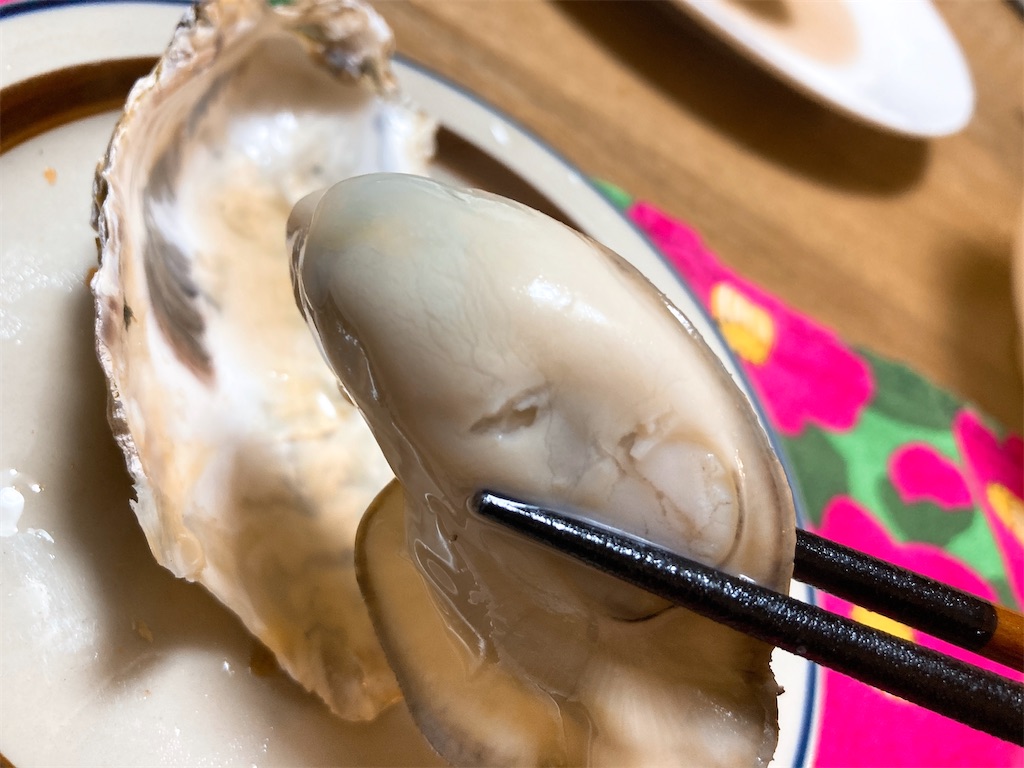 f:id:hashimo123:20220220115409j:image f:id:hashimo123:20220220115409j:image