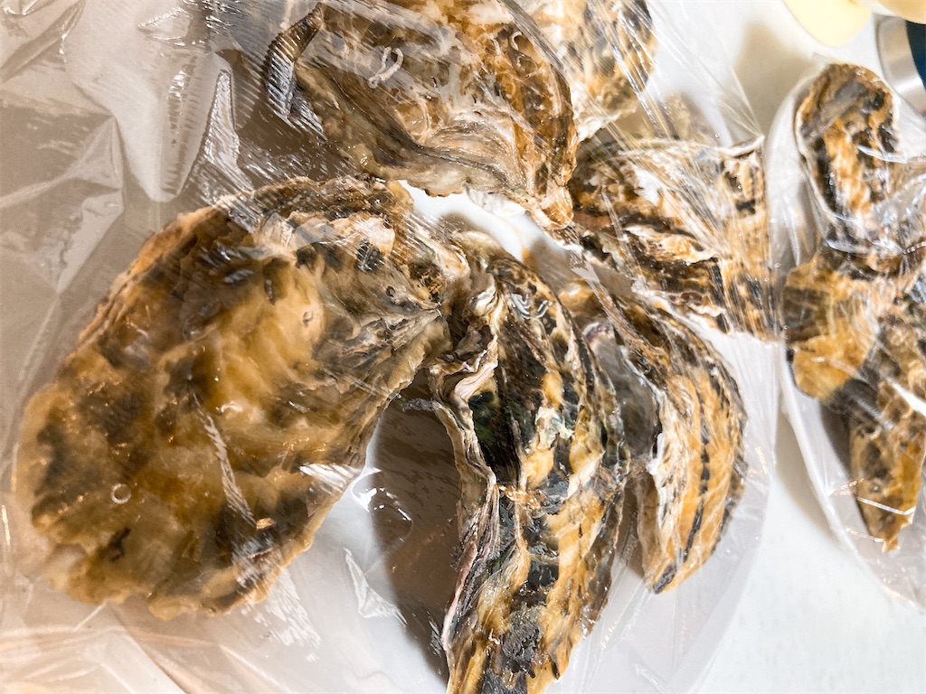 f:id:hashimo123:20220220115412j:image f:id:hashimo123:20220220115412j:image