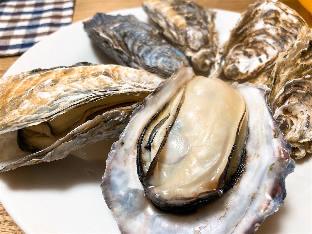 f:id:hashimo123:20220220115415j:image f:id:hashimo123:20220220115415j:image