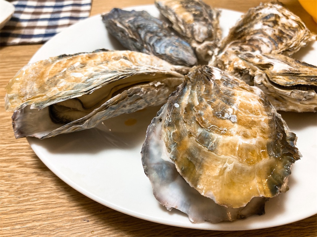 f:id:hashimo123:20220220115417j:image f:id:hashimo123:20220220115417j:image