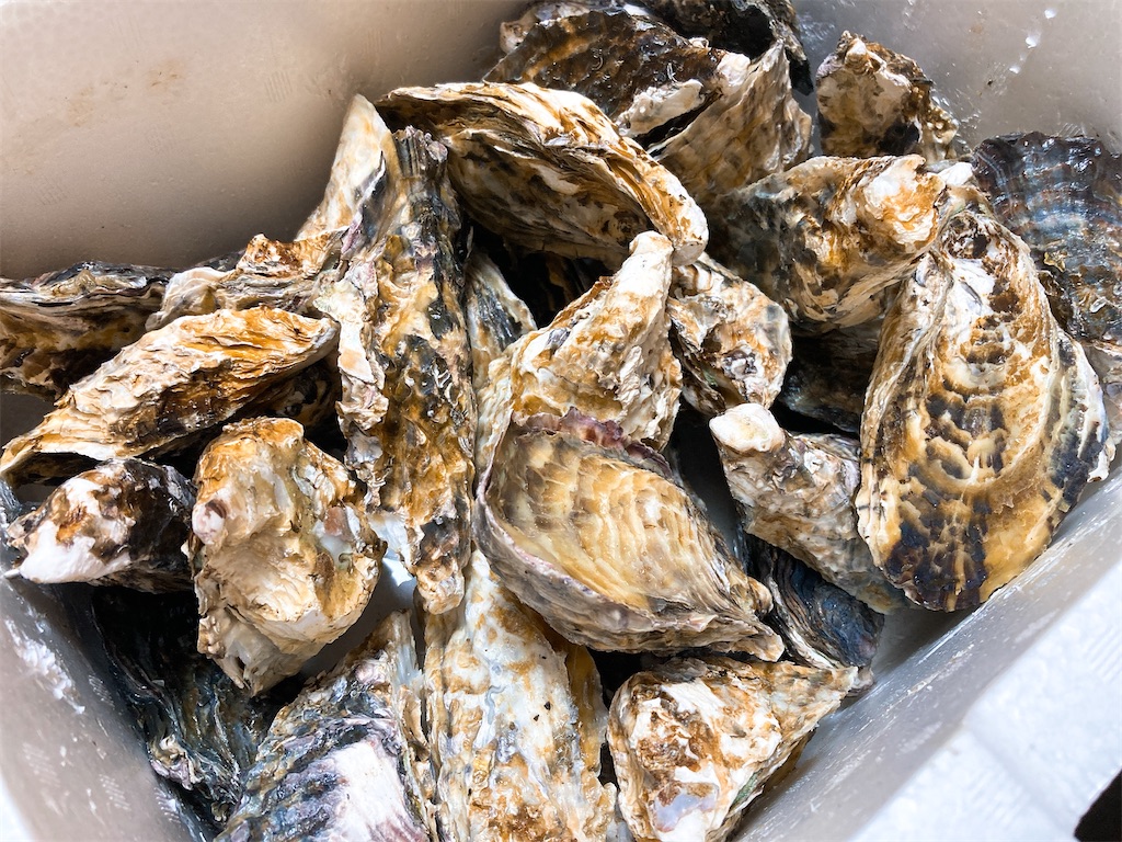 f:id:hashimo123:20220220115423j:image f:id:hashimo123:20220220115423j:image