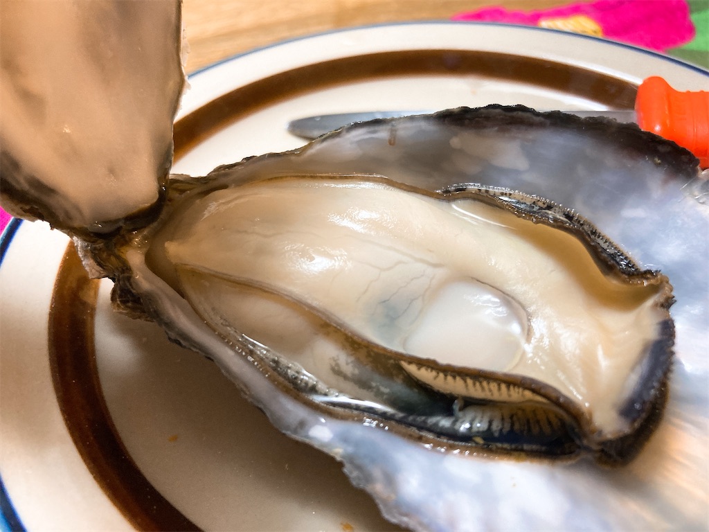 f:id:hashimo123:20220220115426j:image f:id:hashimo123:20220220115426j:image