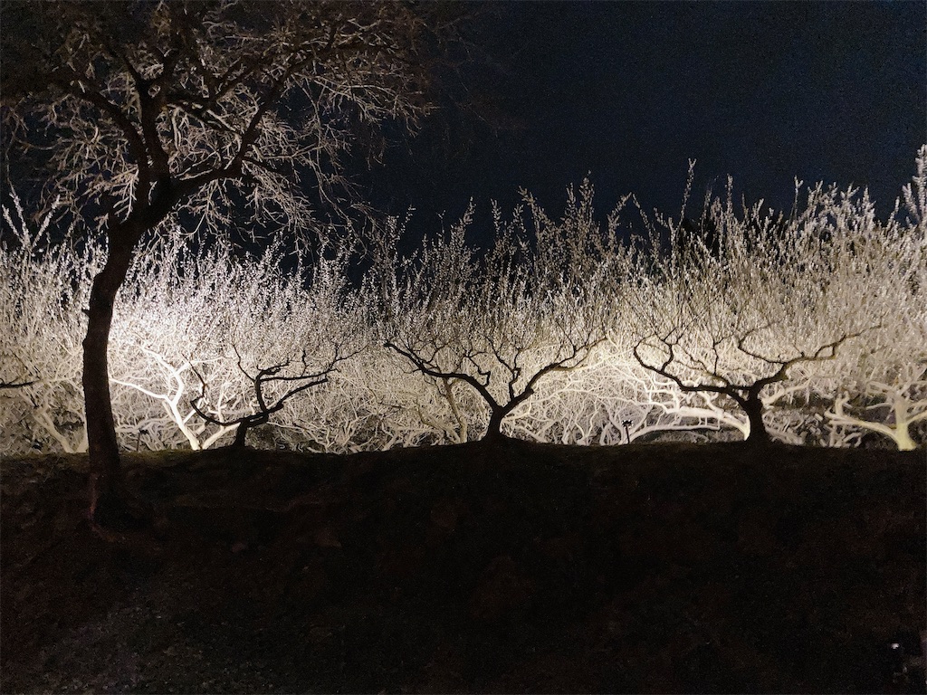 f:id:hashimo123:20220326220810j:image f:id:hashimo123:20220326220810j:image