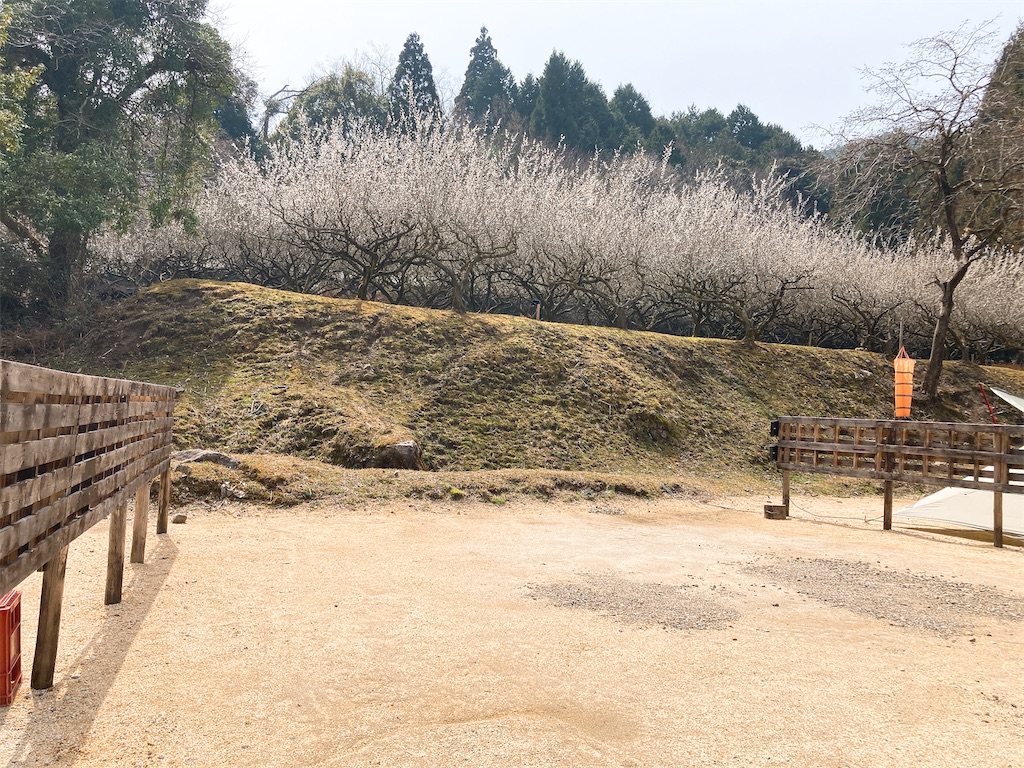 f:id:hashimo123:20220326220832j:image f:id:hashimo123:20220326220832j:image