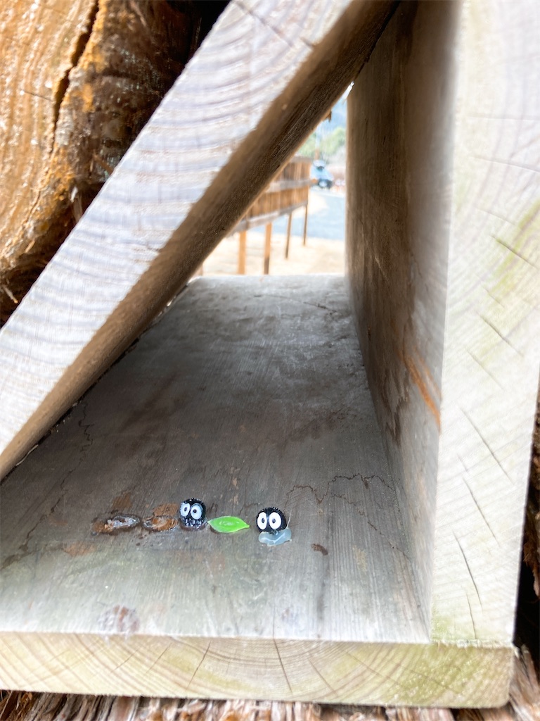 f:id:hashimo123:20220327112859j:image f:id:hashimo123:20220327112859j:image