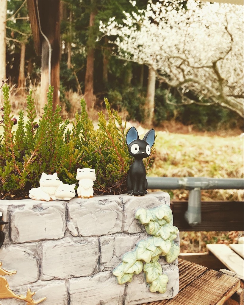 f:id:hashimo123:20220327135304j:image f:id:hashimo123:20220327135304j:image