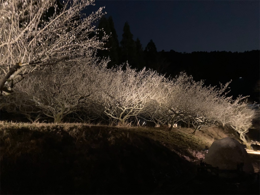 f:id:hashimo123:20220327160943j:image f:id:hashimo123:20220327160943j:image