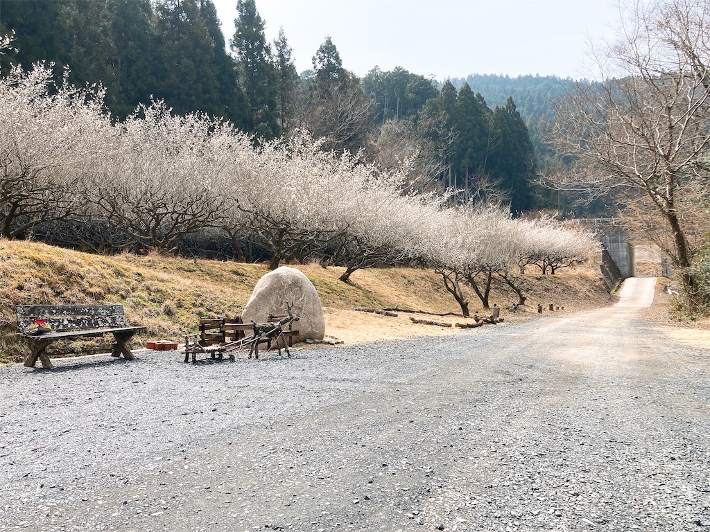 f:id:hashimo123:20220327160946j:image f:id:hashimo123:20220327160946j:image