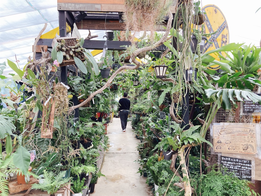 ほぼ植物園！？最近勢いのある園芸店 大阪茨木市のthe Farm