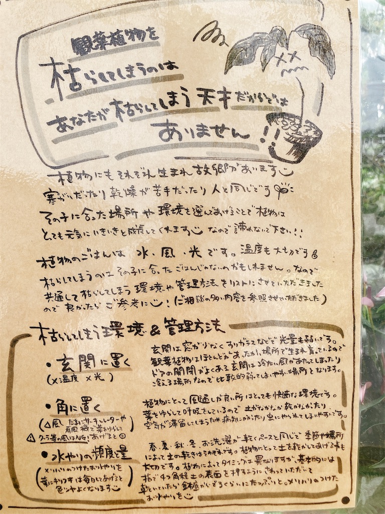 f:id:hashimo123:20220416101219j:image
