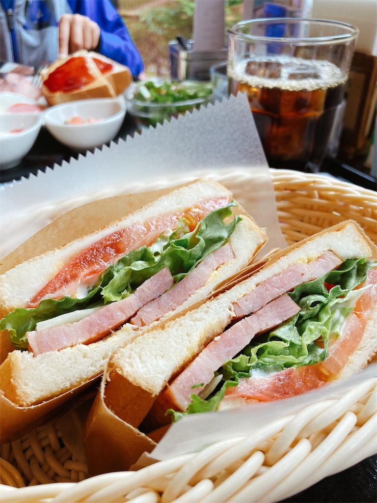 f:id:hashimo123:20220522202546j:image