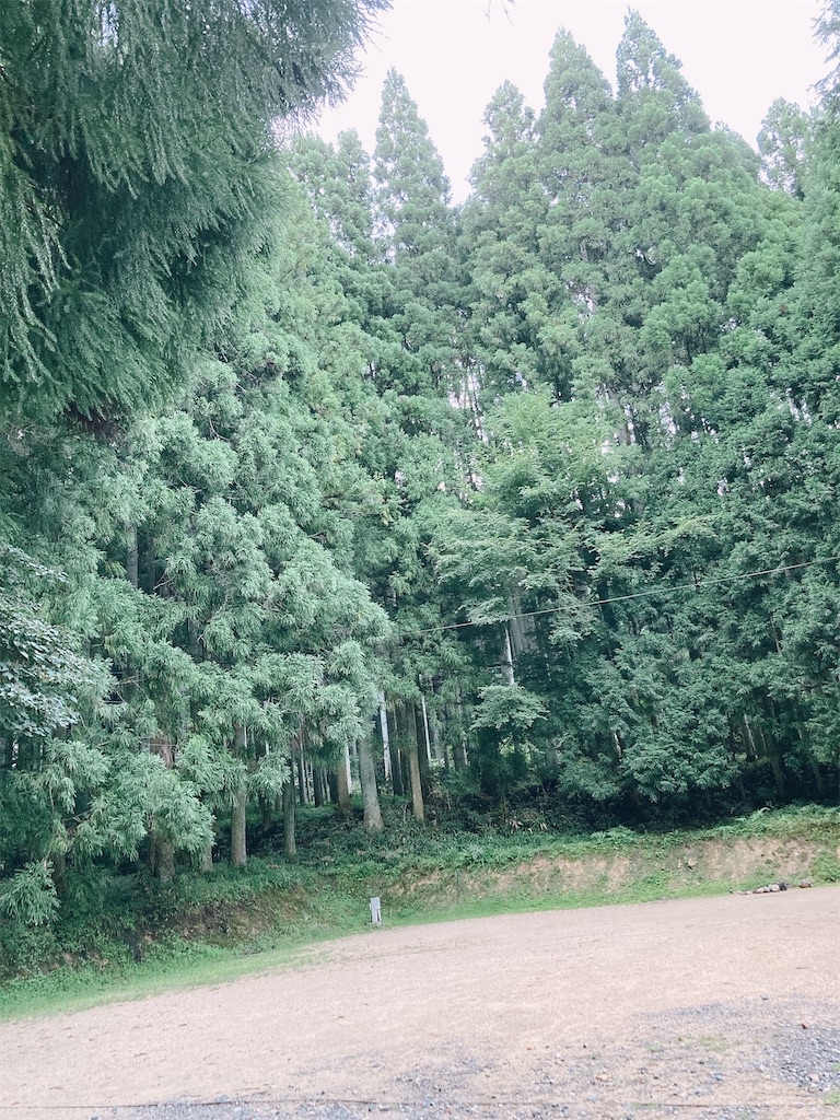 f:id:hashimo123:20220912164336j:image f:id:hashimo123:20220912164336j:image
