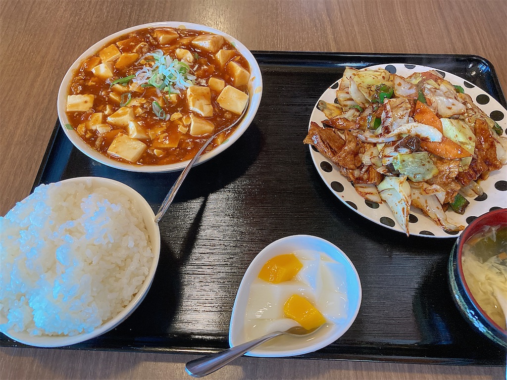 f:id:hashimo123:20230507123327j:image
