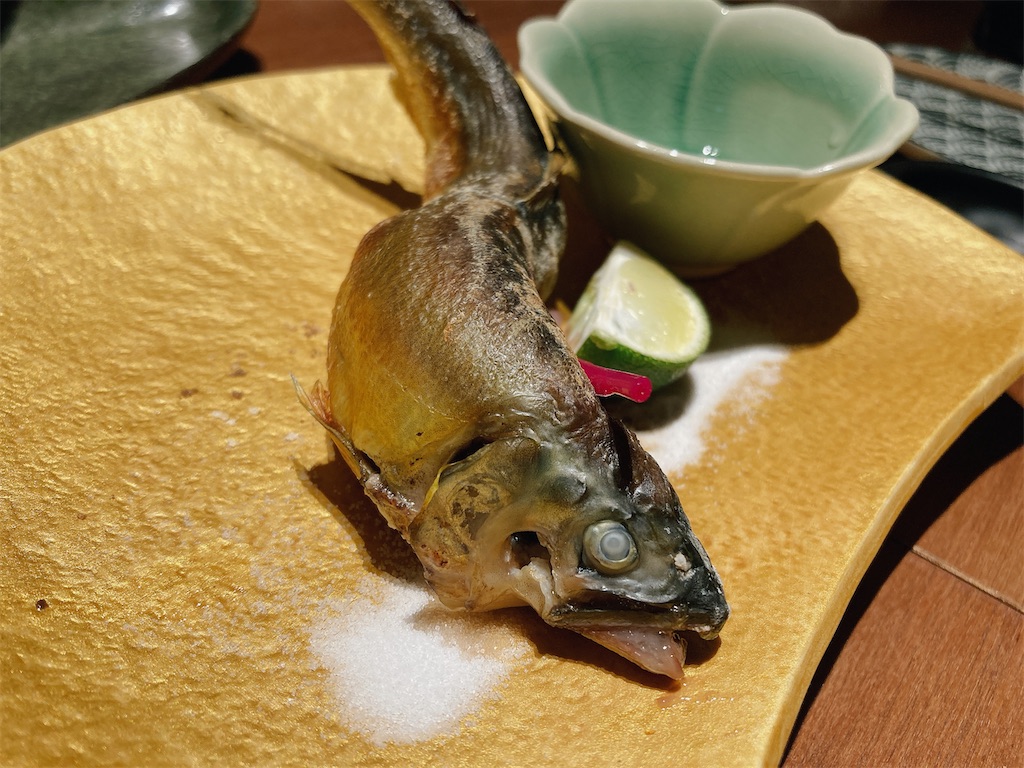 f:id:hashimo123:20240526184745j:image