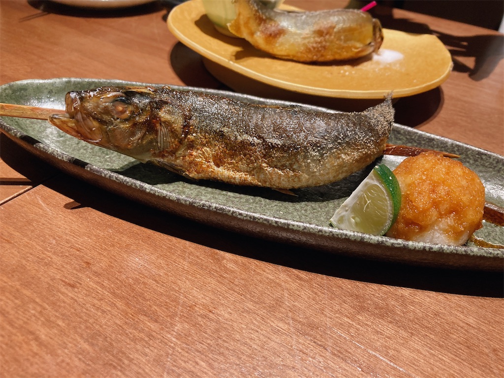 f:id:hashimo123:20240526184748j:image