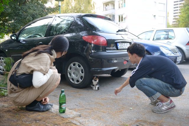 f:id:hashimototomofumi:20141008173539j:image