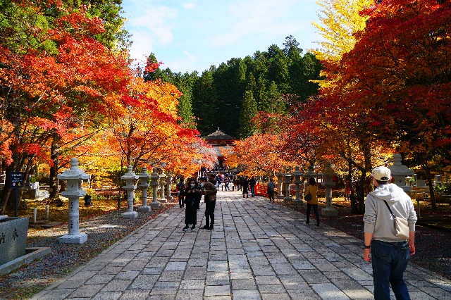 f:id:hashioki2871:20201102225006j:image