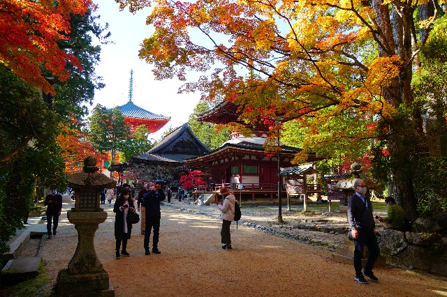 f:id:hashioki2871:20201102225106j:image