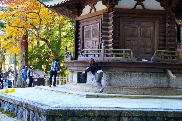 f:id:hashioki2871:20201102230209j:image
